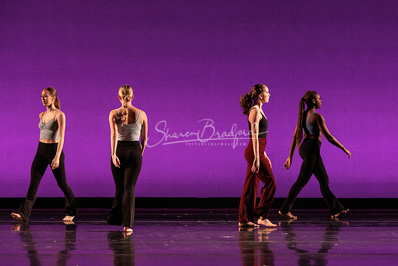 Dance is a Weapon pc Sharen Bradford-1307