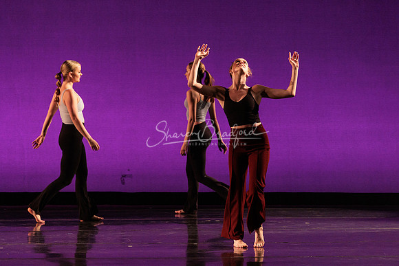 Dance is a Weapon pc Sharen Bradford-1315