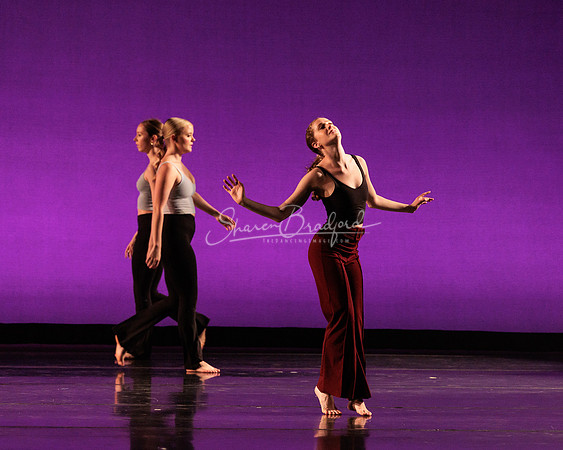 Dance is a Weapon pc Sharen Bradford-1316