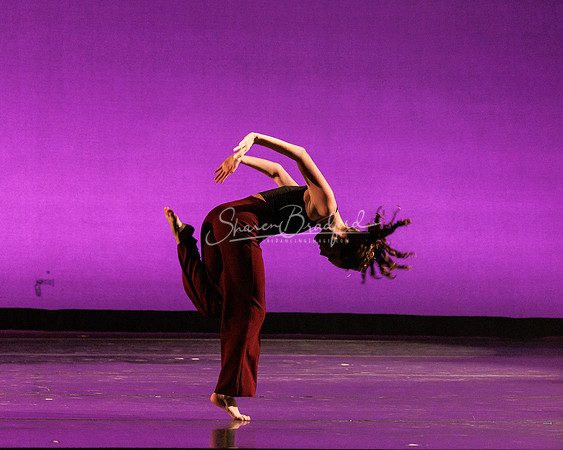 Dance is a Weapon pc Sharen Bradford-1323
