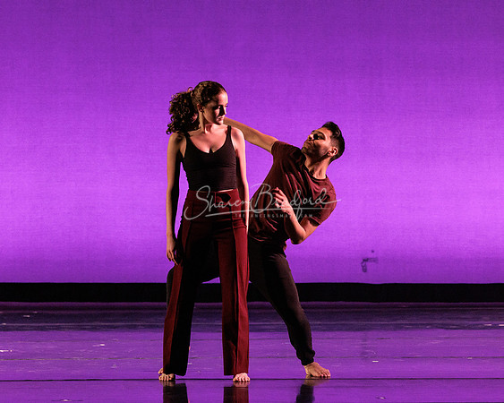 Dance is a Weapon pc Sharen Bradford-1330