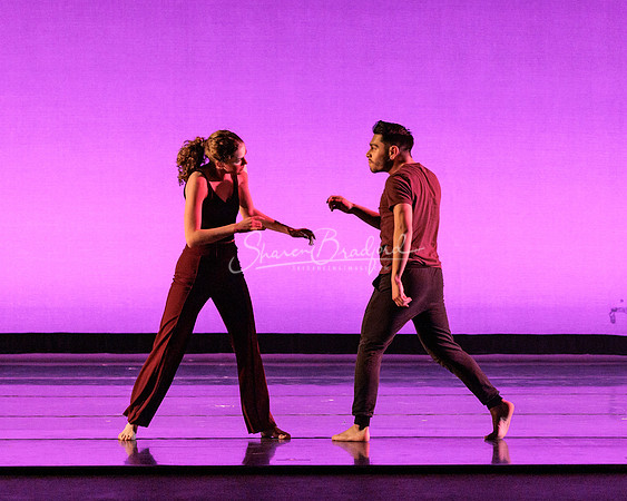 Dance is a Weapon pc Sharen Bradford-1333