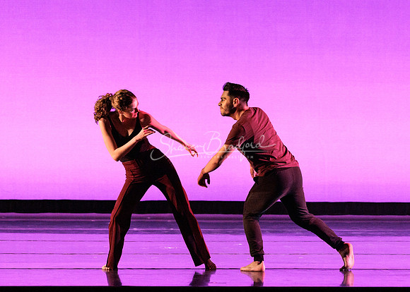 Dance is a Weapon pc Sharen Bradford-1334