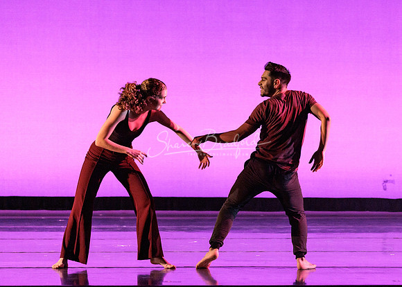 Dance is a Weapon pc Sharen Bradford-1335