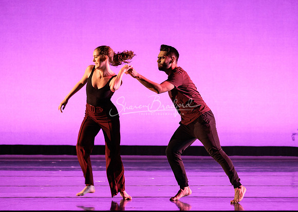 Dance is a Weapon pc Sharen Bradford-1336