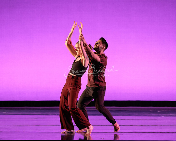 Dance is a Weapon pc Sharen Bradford-1339