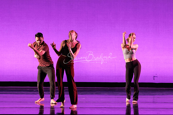 Dance is a Weapon pc Sharen Bradford-1373