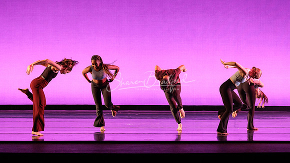 Dance is a Weapon pc Sharen Bradford-1379