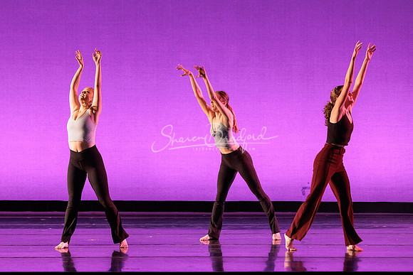 Dance is a Weapon pc Sharen Bradford-1380