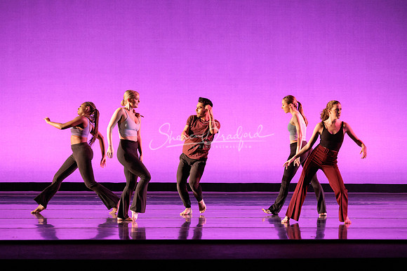 Dance is a Weapon pc Sharen Bradford-1387