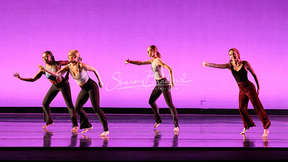 Dance is a Weapon pc Sharen Bradford-1389
