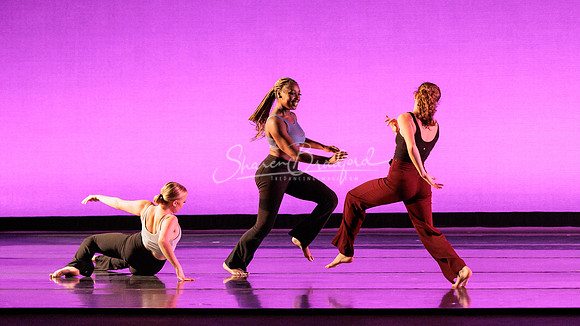 Dance is a Weapon pc Sharen Bradford-1401