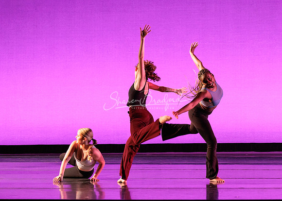 Dance is a Weapon pc Sharen Bradford-1402