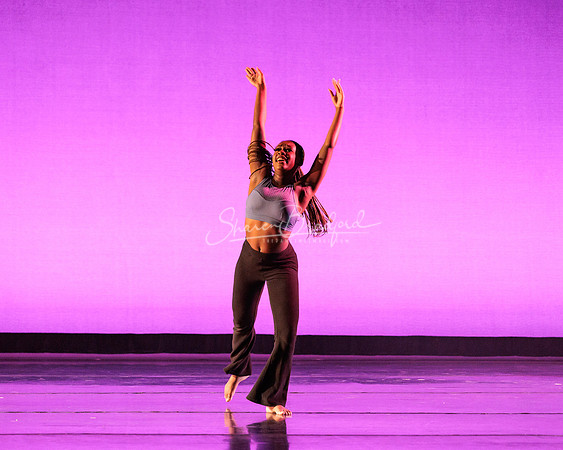 Dance is a Weapon pc Sharen Bradford-1408