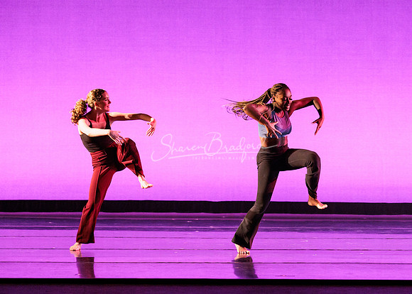 Dance is a Weapon pc Sharen Bradford-1416