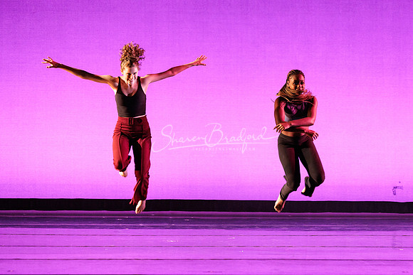 Dance is a Weapon pc Sharen Bradford-1419