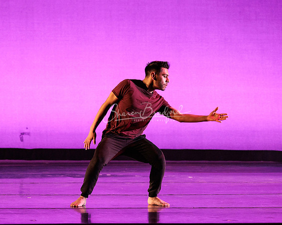 Dance is a Weapon pc Sharen Bradford-1424