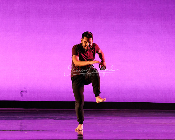 Dance is a Weapon pc Sharen Bradford-1435