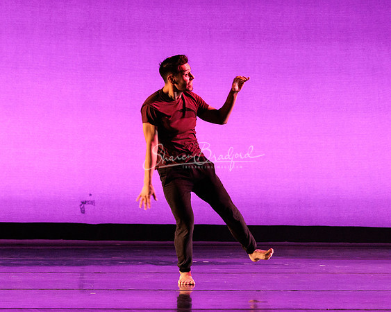 Dance is a Weapon pc Sharen Bradford-1437