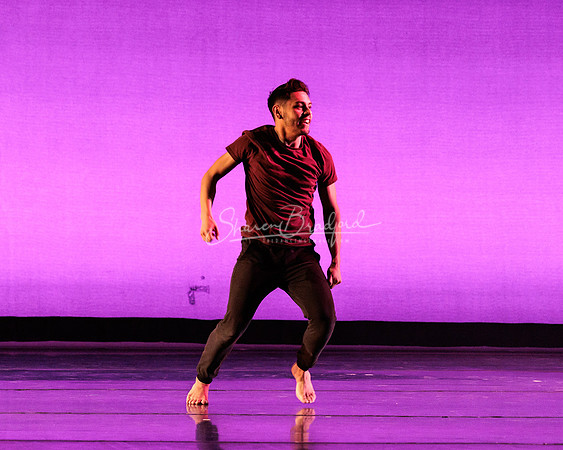 Dance is a Weapon pc Sharen Bradford-1438