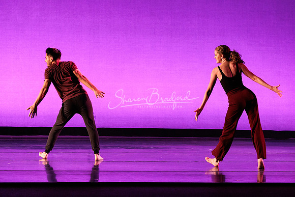 Dance is a Weapon pc Sharen Bradford-1442