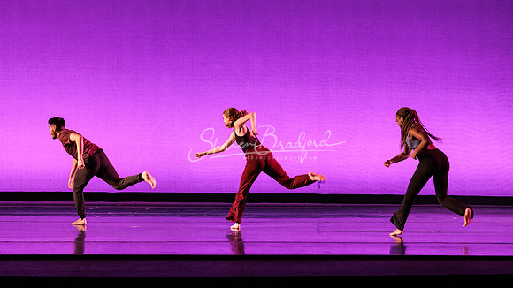 Dance is a Weapon pc Sharen Bradford-1446