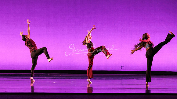 Dance is a Weapon pc Sharen Bradford-1447