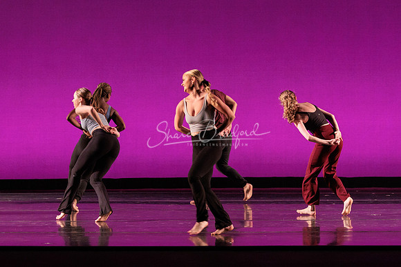 Dance is a Weapon pc Sharen Bradford-1457