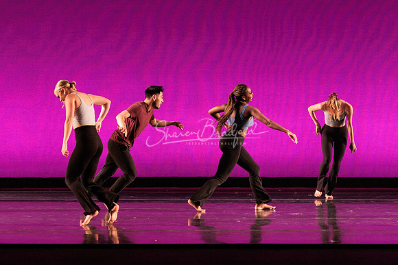 Dance is a Weapon pc Sharen Bradford-1464