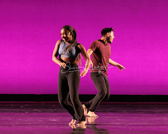 Dance is a Weapon pc Sharen Bradford-1466