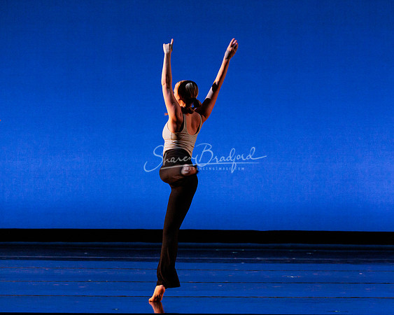 Dance is a Weapon pc Sharen Bradford-1200