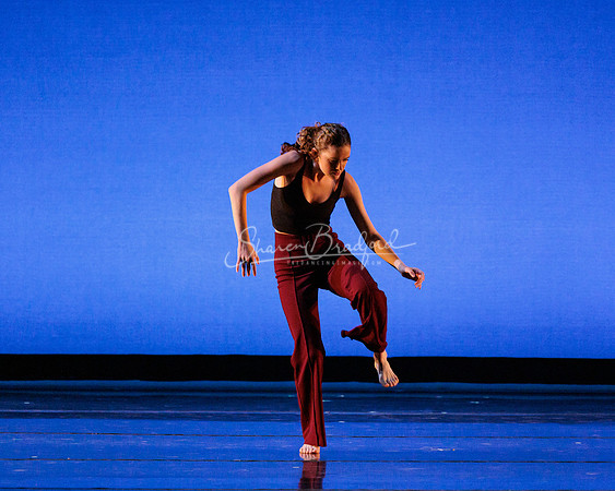 Dance is a Weapon pc Sharen Bradford-1212