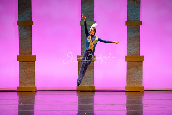 Ballet NTX Sleeping Beauty pc Sharen Bradford-1865