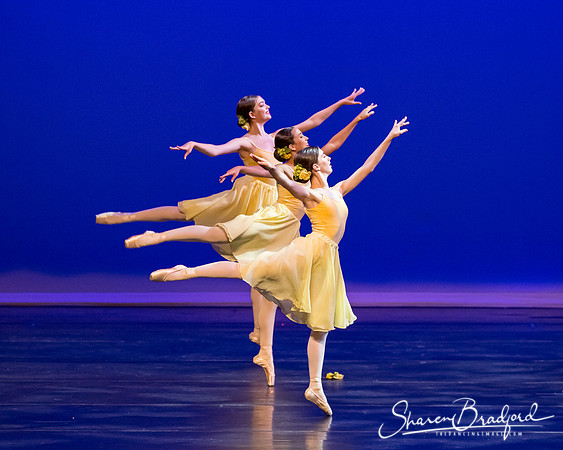 Grande Waltz-2153