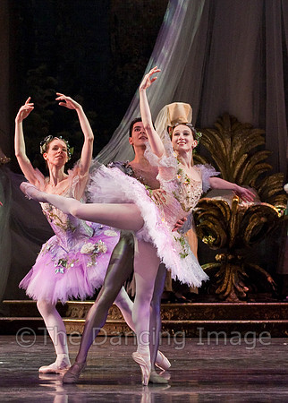 TB Sleeping Beauty Wed.-0125