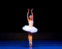 Dying Swan pc Sharen Bradford-1203
