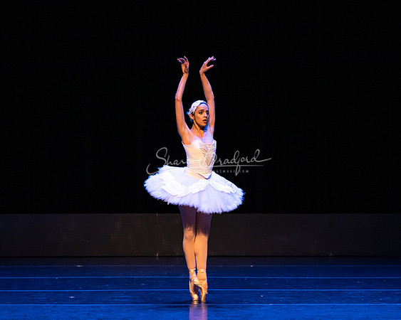 Dying Swan pc Sharen Bradford-1203