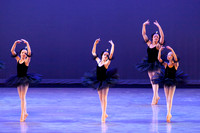 The Black Swans-3416