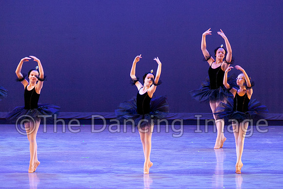 The Black Swans-3416