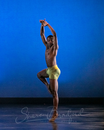 DBDT Encore pc Sharen Bradford-5156
