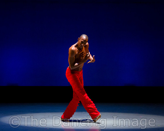 Alvin Ailey ADT-0058