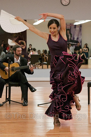 Flamenco-2-54