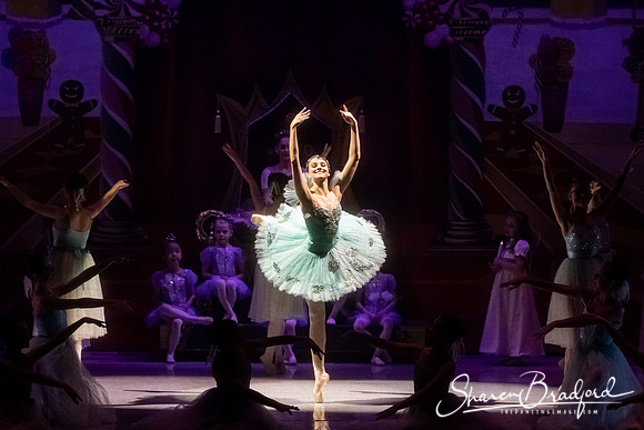 CCBT Nutcracker 19 pc Sharen Bradford-5233