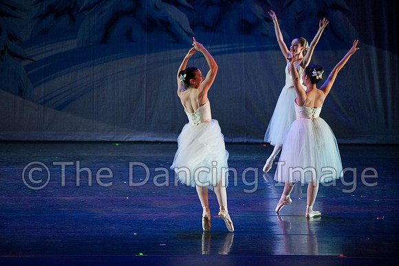 Chamberlain 2011 Sat-0867