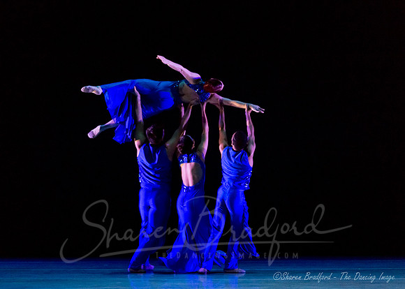 Following Echoes - pc Sharen Bradford-0928
