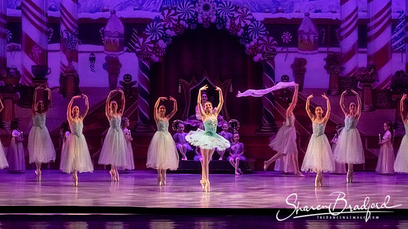 CCBT Nutcracker 19 pc Sharen Bradford-5283