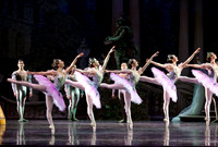TB Sleeping Beauty Wed.-0046
