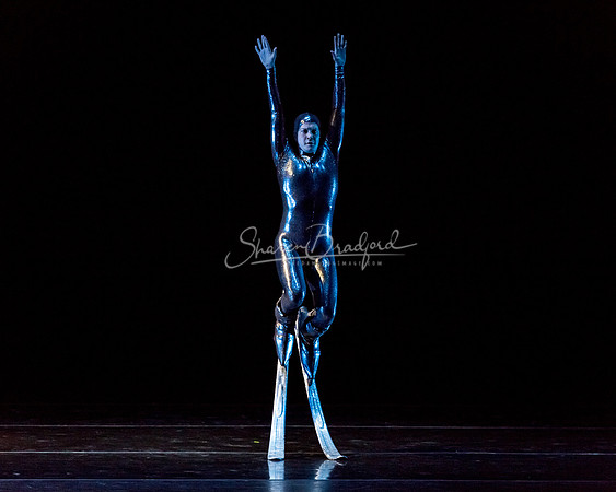 Millennium Skiva pc Sharen Bradford-8516