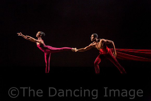 DBDT Encore-8685