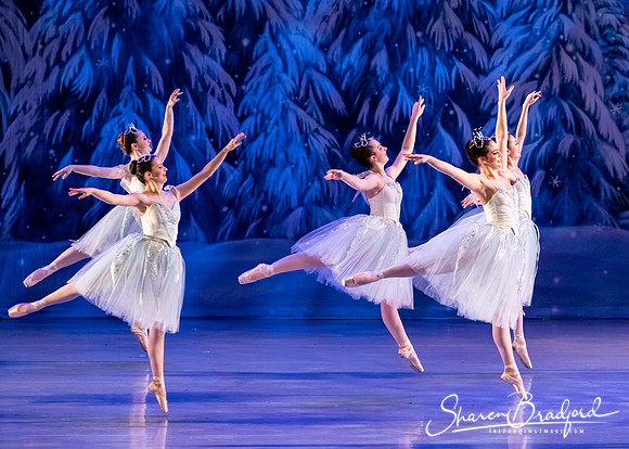 CCBT Nutcracker 19 pc Sharen Bradford-4936